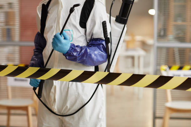 Professional Hoarding Cleanup technician working in Weimar, TX